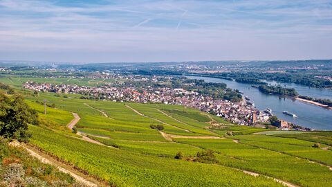Von einem höheren Standort blickt man über Felder, Weinberge und eine Seilbahn nach Rüdesheim am Rhein unter einem wolkigen, blauen Himmel. Der Fluss Rhein ist rechts im Bild zu sehen.